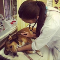 Photo taken at Ветеринарная клиника &amp;quot;Друг&amp;quot; by Valeria V. on 7/25/2016