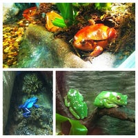 Photo taken at Frogs - A Chorus Of Colors by Amanda H. on 9/1/2012