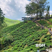 Photo taken at BOH Sungei Palas Tea Centre by NS¥ 9. on 7/21/2019
