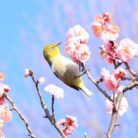 Photo taken at Hanegi Park by omr y. on 3/3/2024