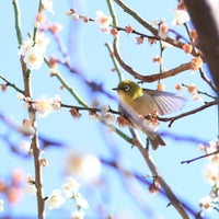 Photo taken at Hanegi Park by omr y. on 3/3/2024