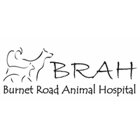 6/9/2014 tarihinde Burnet Road Animal Hospitalziyaretçi tarafından Burnet Road Animal Hospital'de çekilen fotoğraf