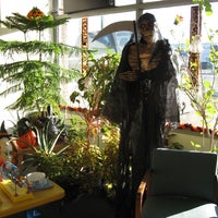 Money Tree Loans