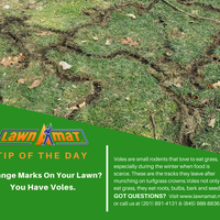 Photos At Lawn A Mat Corporate Headquarters Milford Pa