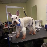 fur ever friends dog grooming