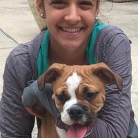 the family puppy of fountain walk