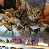 willies grooming & pet shop