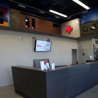 clearview dog and cat hospital red deer