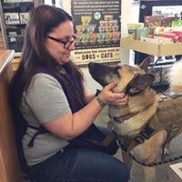 all pet supplies & equine center