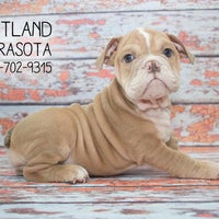 petlandsarasota