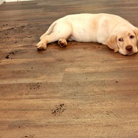 Coles Fine Flooring Carpet Store In San Diego