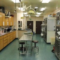norco animal hospital 6th street