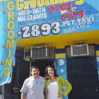 willies grooming & pet shop