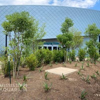 Снимок сделан в Mississippi Aquarium пользователем Yext Y. 7/10/2020