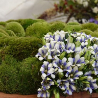 Das Foto wurde bei Andreas Zweerus von Yext Y. am 10/28/2020 aufgenommen