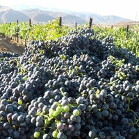Foto scattata a Sierra Roble Winery and Vineyard da Yext Y. il 9/3/2020