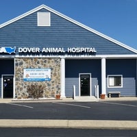 Vca dover best sale animal hospital