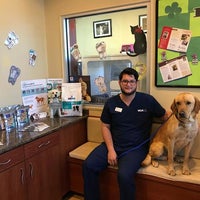 vca animal hospital castle hills