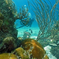 Photo taken at Conch Republic Divers - Diving | Tavernier | Key Largo | Islamorada by Yext Y. on 4/18/2017
