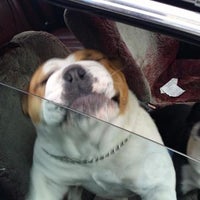 willies grooming & pet shop