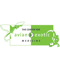 1/16/2019にYext Y.がThe Center For Avian &amp;amp; Exotic Medicineで撮った写真