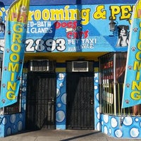 willies grooming & pet shop