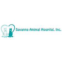 9/1/2017にYext Y.がSavanna Animal Hospitalで撮った写真