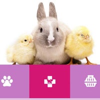 barbie clinica veterinaria