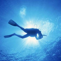 Foto scattata a Conch Republic Divers - Diving | Tavernier | Key Largo | Islamorada da Yext Y. il 4/18/2017