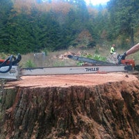 Limb Walker Tree Service Inc Construction Landscaping