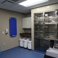 clearview dog and cat hospital red deer
