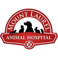 Photo prise au Mount Laurel Animal Hospital par Yext Y. le7/14/2017