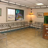 pahle animal clinic