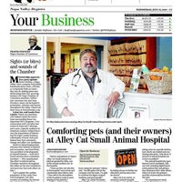 alley cat small animal hospital