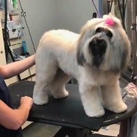 Photo taken at Grooming by Kennelwood by Yext Y. on 10/17/2018