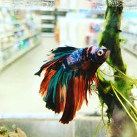 Nature Box Pet Emporium Pet Supplies Store in Aurora