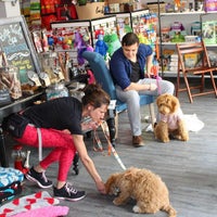 Bella woof sale spa