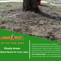 Photos At Lawn A Mat Corporate Headquarters Milford Pa