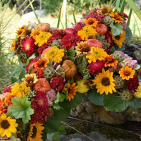 Das Foto wurde bei Andreas Zweerus von Yext Y. am 10/28/2020 aufgenommen