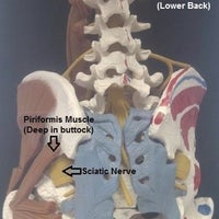 Foto scattata a Spine Plus Chigwell - Osteopathy &amp;amp; Physiotherapy da Yext Y. il 8/20/2016