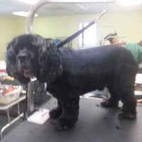 fur ever friends dog grooming