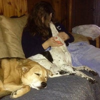 Creature Comforts Mobile Veterinary Service Veterinarian