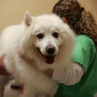 รูปภาพถ่ายที่ Calusa Veterinary Center โดย Yext Y. เมื่อ 8/31/2017