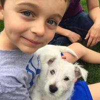 the family puppy of fountain walk