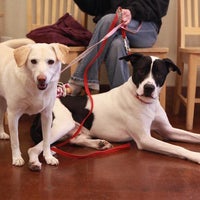 McKinney Animal Hospital - 4630 W. Eldorado Pkwy McKinney Animal Hospital - 4630 W. Eldorado Pkwy