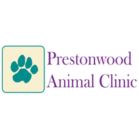 Photo taken at Prestonwood Animal Clinic by Yext Y. on 3/20/2020