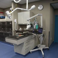 clearview dog and cat hospital red deer