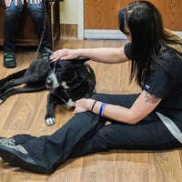 Inver Grove Heights Animal Hospital - 4 tips from 131 visitors