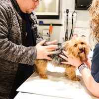 Foto tomada en Pure Paws Veterinary Care of Clinton Hill  por Yext Y. el 4/17/2018