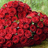 Das Foto wurde bei Andreas Zweerus von Yext Y. am 10/28/2020 aufgenommen